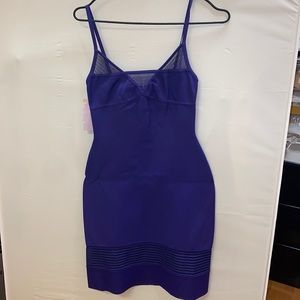 Herve Leger Purple Dress